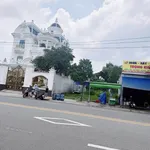 Bán đất mặt tiền 10m, 300m², Mỹ Phước 3, Bình Dương, 8 tỷ - Ảnh thu nhỏ 1