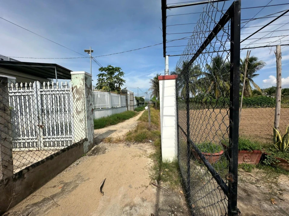 Bán 1552m2 đất vườn có nhà - Lương Cang, Đông Vinh - Phan Rang - 990tr bao sổ - Ảnh thu nhỏ 5