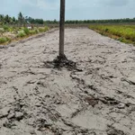 Bán 2 nền đất Hoả Lựu Cần Thơ 5,2x70m và 6,7x70m - Ảnh thu nhỏ 3