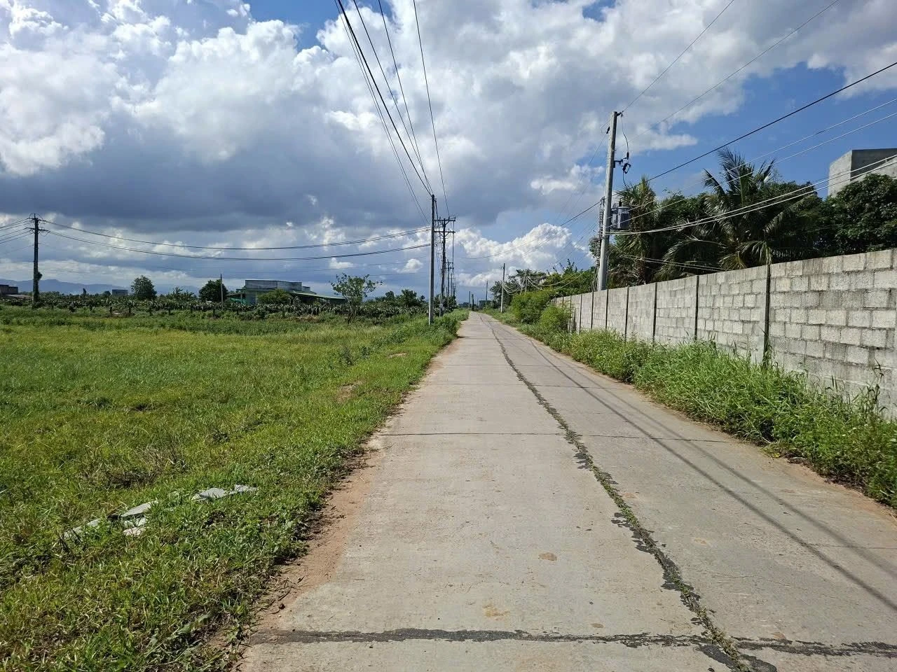 Bán 500m² đất lúa Phú Long, Bình Thuận 479 triệu - Ảnh 1