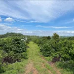Bán 2,5 hectare đất rẫy cà phê Đắk Mil 1 tỷ 799 triệu - Ảnh thu nhỏ 1