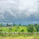 Bán 2ha đất nông nghiệp đường 19/5, view đồi đẹp - Ảnh thu nhỏ 2