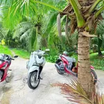 Bán đất nền 345m² Phú Khương Hóc Môn 270 triệu - Ảnh thu nhỏ 1