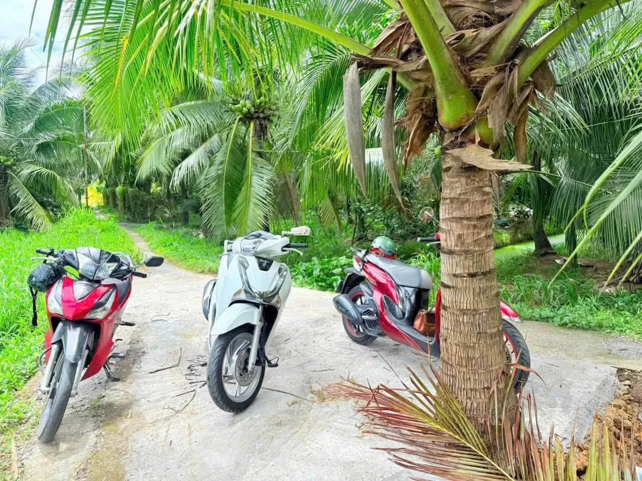 Bán đất nền 345m² Phú Khương Hóc Môn 270 triệu - Ảnh 1