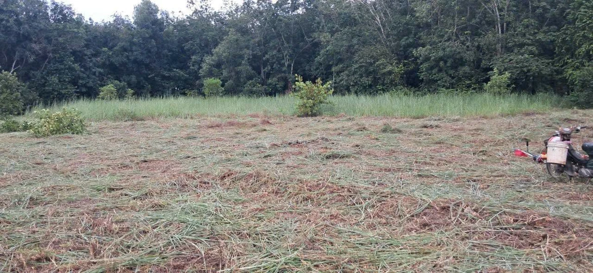 Bán đất SKC 4.000m² Dầu Tiếng 6,9 tỷ - Ảnh thu nhỏ 2