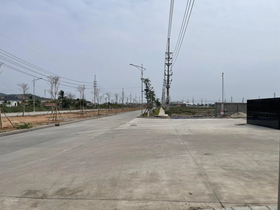 Diện tích đất: 5.000m2. Không gian rộng rãi, thông thoáng. Hạ tầng sẵn có, sạch đẹp. Bàn giao ngay - Ảnh 1