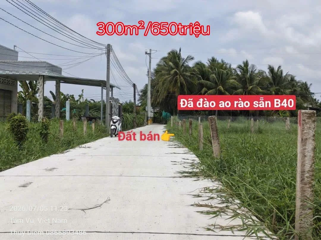 Bán đất thổ và lúa 300m² tại Châu Thành Long An 650 triệu - Ảnh thu nhỏ 3