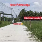 Bán đất thổ và lúa 300m² tại Châu Thành Long An 650 triệu - Ảnh thu nhỏ 3