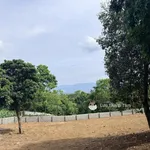 Bán gấp 2.000m2 có 200m2 thổ cư 2 mặt tiền chạy quanh đất - Ảnh thu nhỏ 8