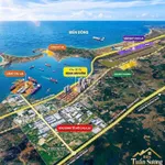 Giỏ hàng Vịnh An Hòa đang có giá khách đừng hỏi còn không? Rồi mới tiếc - Ảnh thu nhỏ 9
