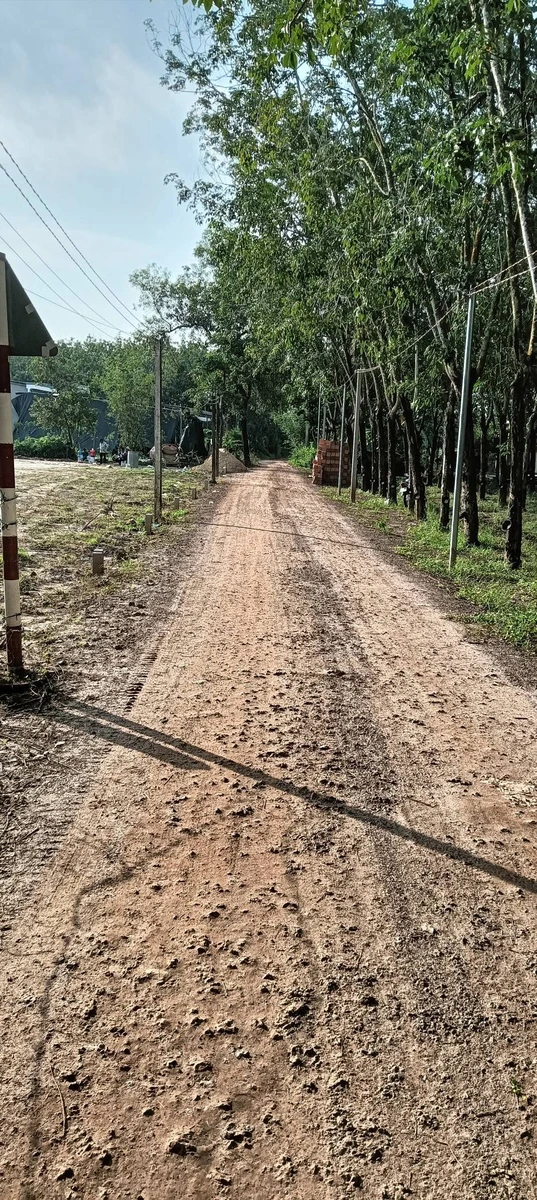 Bán đất 50m2 giá 250 triệu tại Đồng Khởi, Châu Thành, Tây Ninh - Ảnh thu nhỏ 3