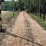 Bán đất 50m2 giá 250 triệu tại Đồng Khởi, Châu Thành, Tây Ninh - Ảnh thu nhỏ 3