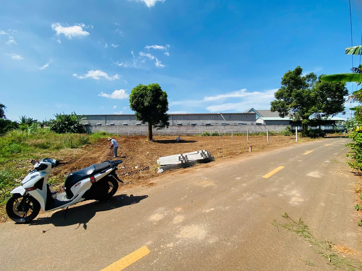 Bán 2 lô đất liền kề Đất Đỏ, 278m² và 352m², sổ sẵn - Ảnh 1