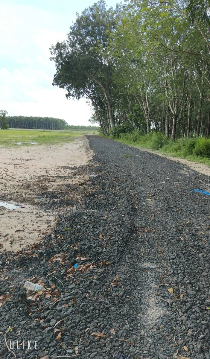Bán đất vườn 1000m² Phường Bình Minh Tây Ninh 269 triệu - Ảnh thu nhỏ 4