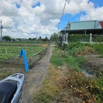 Bán lô đất Tân Điền 1900 m² Tây Ninh 2,9 tỷ - Ảnh thu nhỏ 2