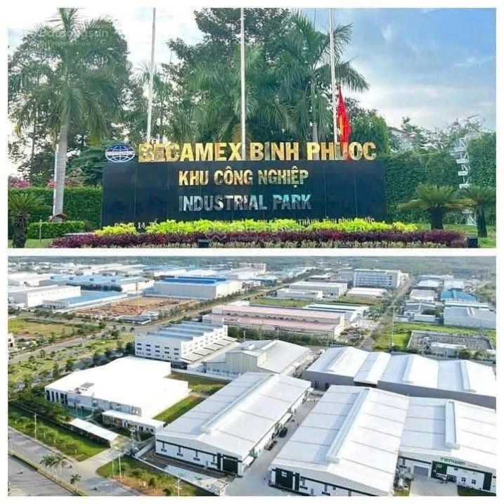Kẹt tiền bán gấp 400m2 (10x40m), thổ cư 100m2, kế bên Khu công nghiệp Becamex, dân cư đông - Ảnh thu nhỏ 2