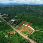 Bán lô đất mặt tiền 150m2 Tân Nghĩa, Di Linh, Lâm Đồng - Ảnh thu nhỏ 4