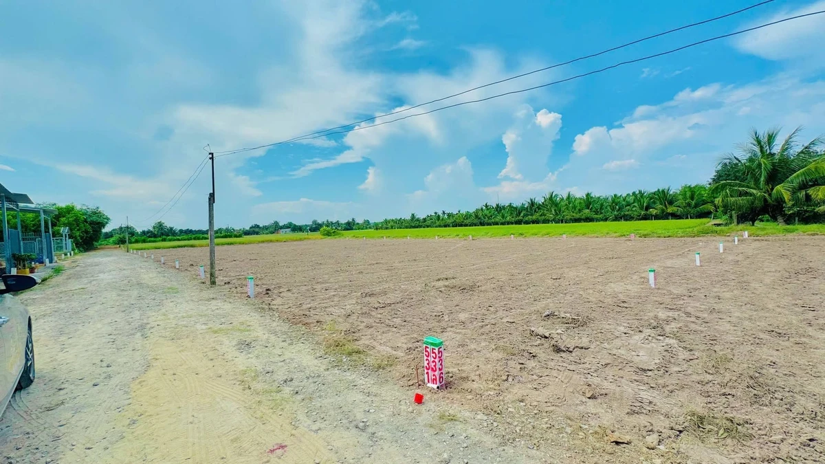 Bán đất Bình Lợi 130 m², giá 169 triệu - Ảnh thu nhỏ 2