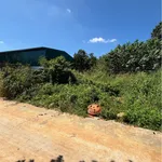 Bán đất 200m² đường Mai Thị Lựu, Đắk Lắk - Ảnh thu nhỏ 3