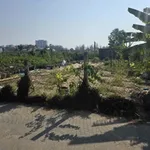 Bán lô đất 260m2 Mậu Thân Tuy Hòa 3 tỷ 200 triệu - Ảnh thu nhỏ 1