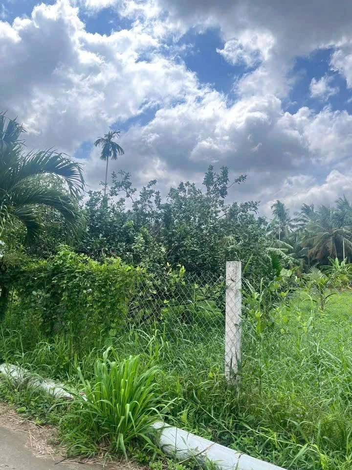 Bán đất Lương Hòa 4000m² mặt tiền nông thôn 800 triệu - Ảnh thu nhỏ 3