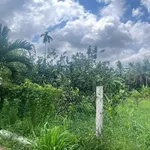 Bán đất Lương Hòa 4000m² mặt tiền nông thôn 800 triệu - Ảnh thu nhỏ 3