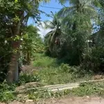 Bán đất mặt tiền đường nhựa 480m2 Xã Mỹ Chánh, Ba Tri, Bến Tre giá 750 triệu - Ảnh thu nhỏ 1
