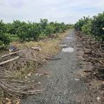 Bán 500m² đất vườn xã Tân Thành, huyện Thủ Thừa, Long An giá 280 triệu - Ảnh thu nhỏ 2