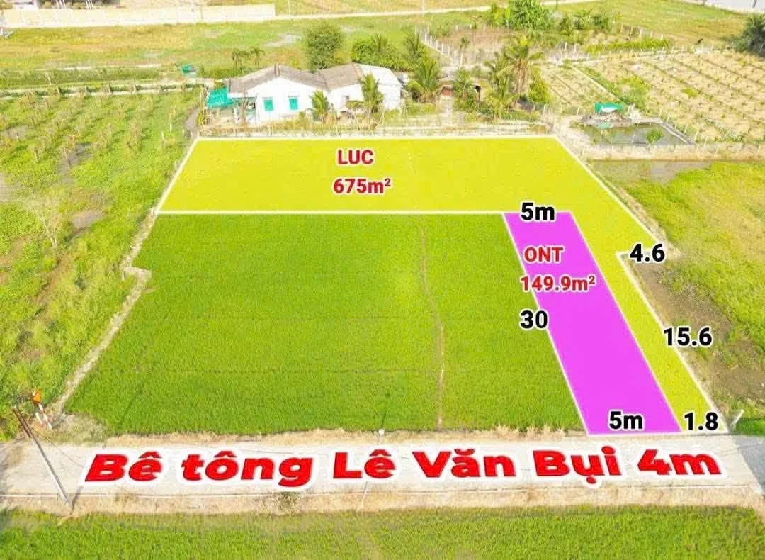 Bán đất nhà vườn 725,3m² mặt tiền đường Lê Văn Bụi, Đức Tân, Tân Trụ, giá 1,3 tỷ - Ảnh thu nhỏ 5