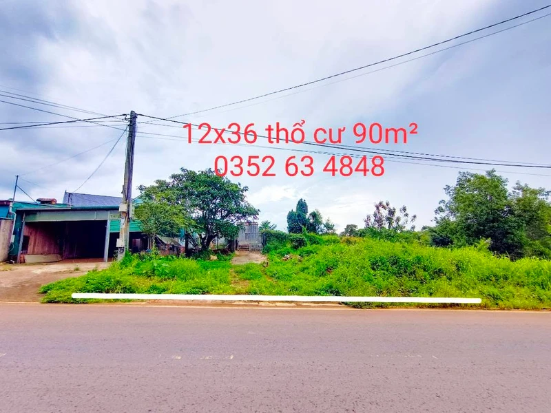 Bán đất mặt tiền 90m² đường Nguyễn Văn Cừ, Gia Nghĩa