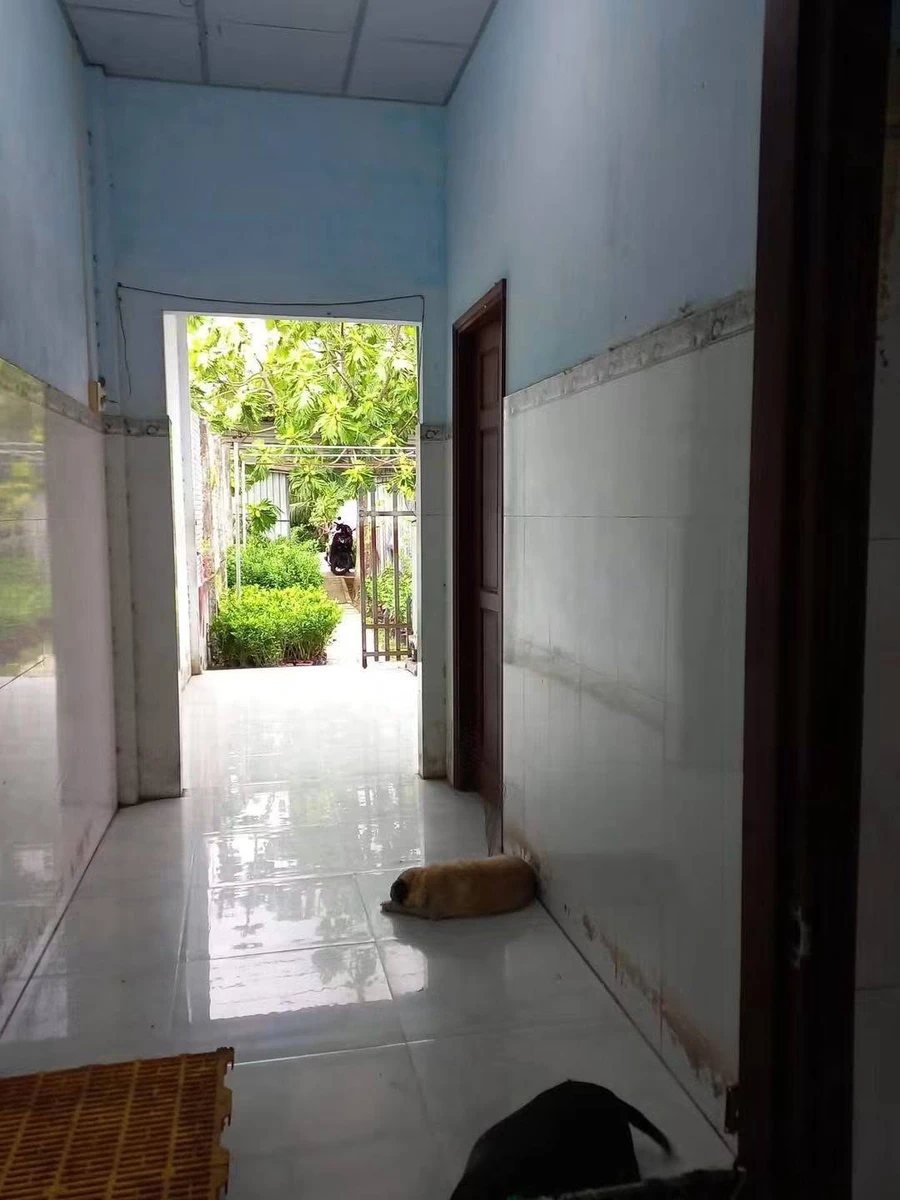 Bán đất mặt tiền đường tỉnh 885, 395m² Giồng Trôm Vĩnh Long - Ảnh thu nhỏ 2