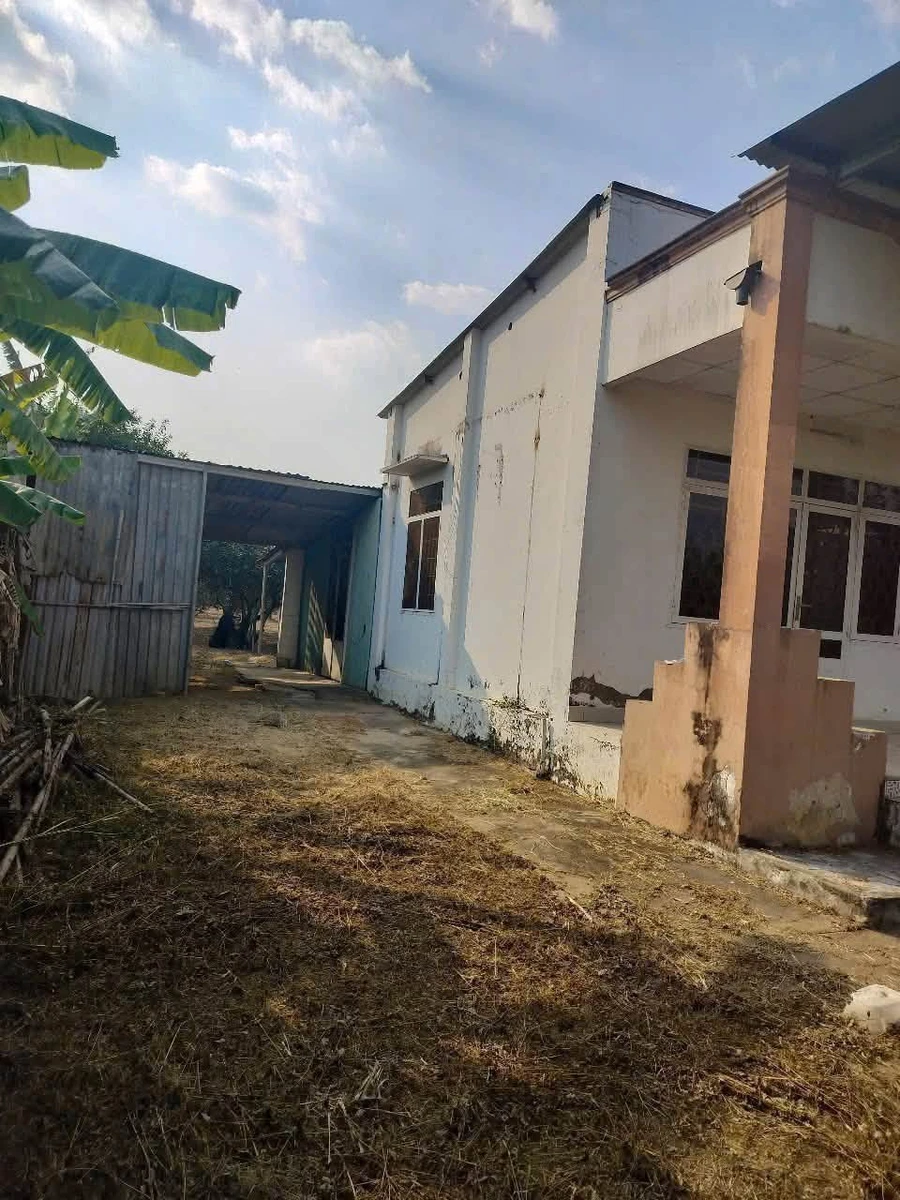 Bán nhà vườn 3700m² Tân Triều Đồng Nai - Ảnh thu nhỏ 2