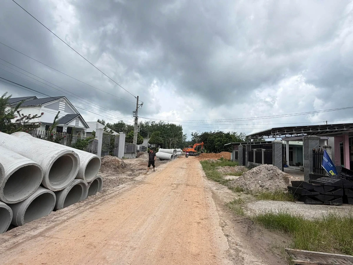 Bán đất xây dãy trọ 300m² Bình Chánh 770 triệu - Ảnh thu nhỏ 4