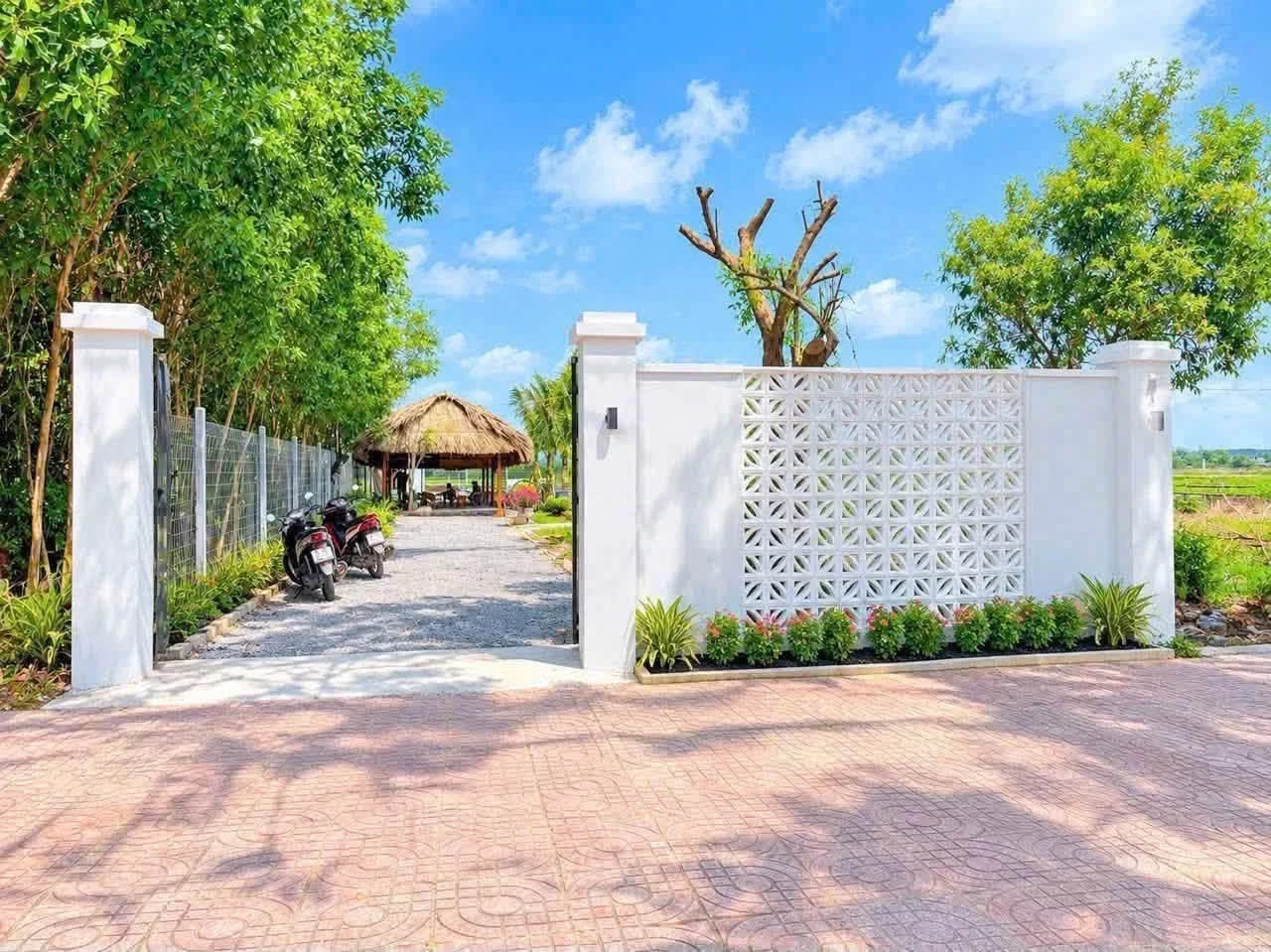 Bán đất 365m² mặt tiền TL52 Đất Đỏ, Bà Rịa - Vũng Tàu - Ảnh 1