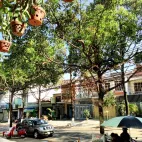 Giảm hơn 1 tỷ bán nhà mặt tiền Lý Tự Trọng, vị trí có 1 không 2, đang có sẵn HĐ thuê - Ảnh thu nhỏ 22