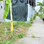 Bán đất Bến Tre (Bình Phú) 114m2 - 550 triệu - Ảnh thu nhỏ 5