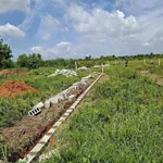 Bán đất 500m2 gần chợ Phú Long, Lâm Đồng, 1.15 tỷ - Ảnh thu nhỏ 2
