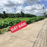 Bán đất nền 160m² Tân Bửu, Bến Lức, Long An 1,55 tỷ - Ảnh thu nhỏ 3