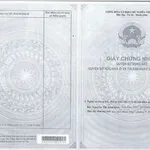Bán lô đất 100m2 đường Nguyễn Trung Trực, Phường Tuy Hòa. Giá rẻ: 1,6 tỷ - Ảnh thu nhỏ 4