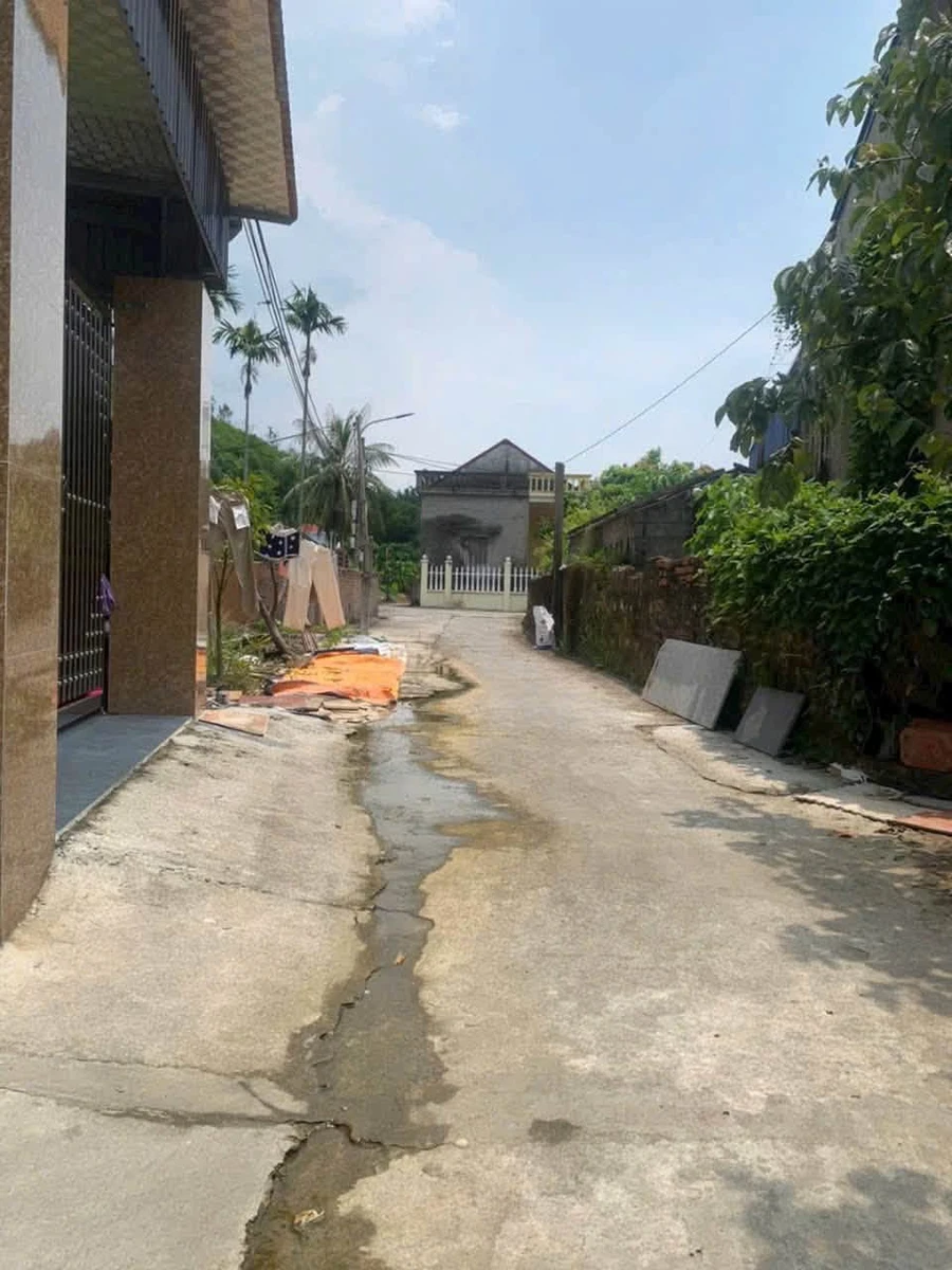 Bán lô đất 85m² mặt tiền 5m ở Tiên Hội, Hải Phòng - Ảnh thu nhỏ 2