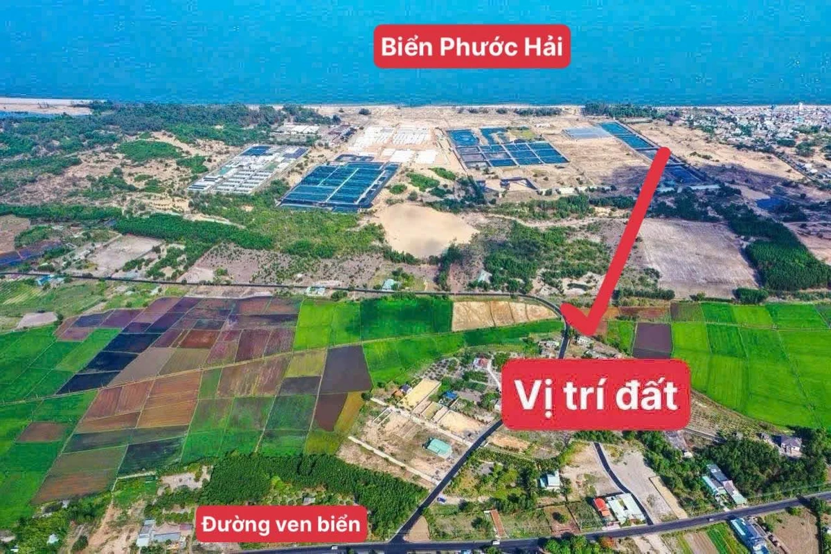 Bán đất nhà vườn 557m2 view cánh đồng gần biển Phước Hải 2 tỷ 350 - Ảnh thu nhỏ 2