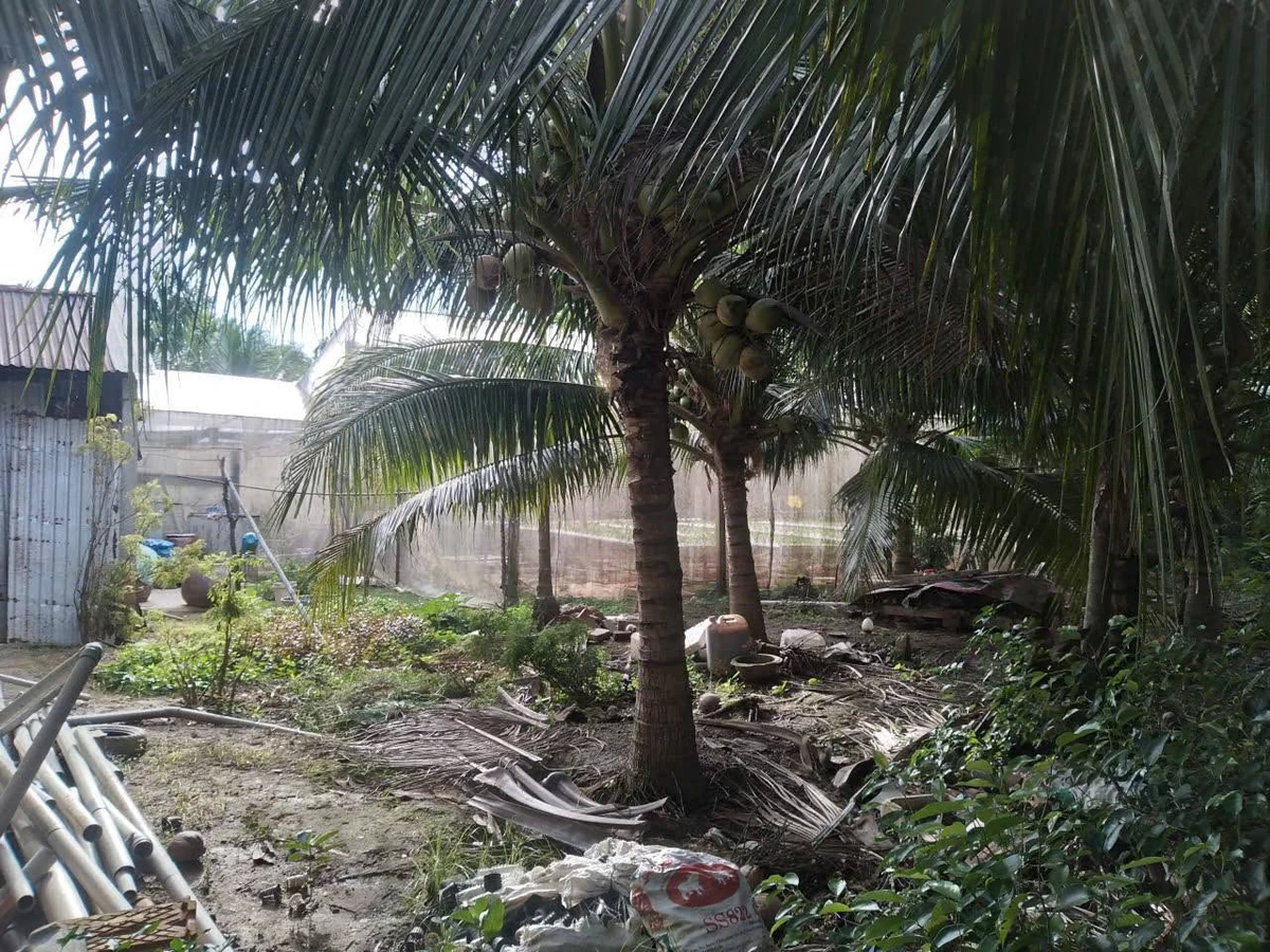 Bán nhà đất Lương Hoà 1.507m² giá 1.5 tỷ - Ảnh thu nhỏ 3
