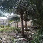 Bán nhà đất Lương Hoà 1.507m² giá 1.5 tỷ - Ảnh thu nhỏ 3