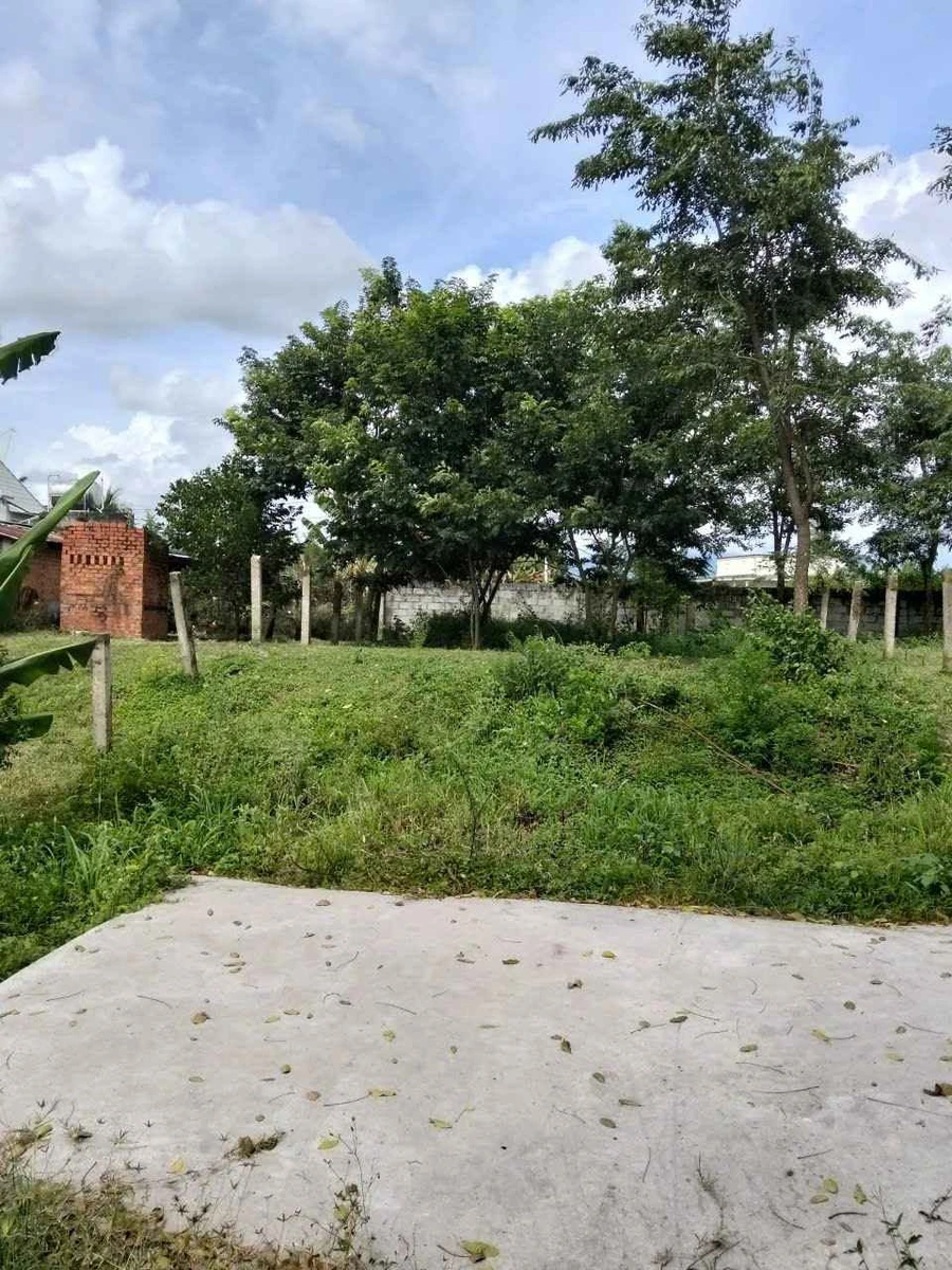 Bán 125m2 đất thổ cư Thôn Bình Lâm, Hàm Chính, 280 triệu - Ảnh 1