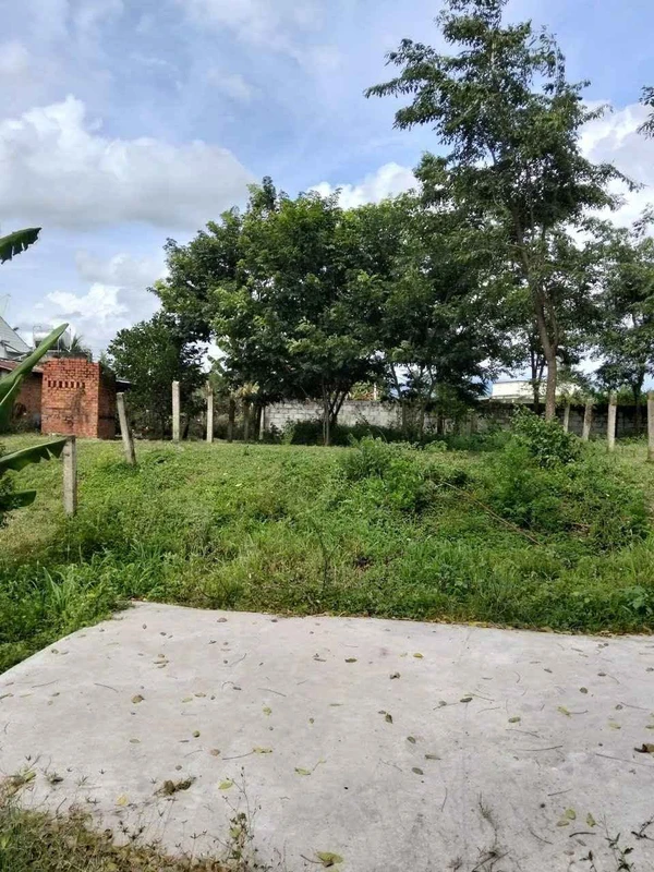 Bán 125m2 đất thổ cư Thôn Bình Lâm, Hàm Chính, 280 triệu