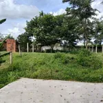 Bán 125m2 đất thổ cư Thôn Bình Lâm, Hàm Chính, 280 triệu - Ảnh thu nhỏ 1