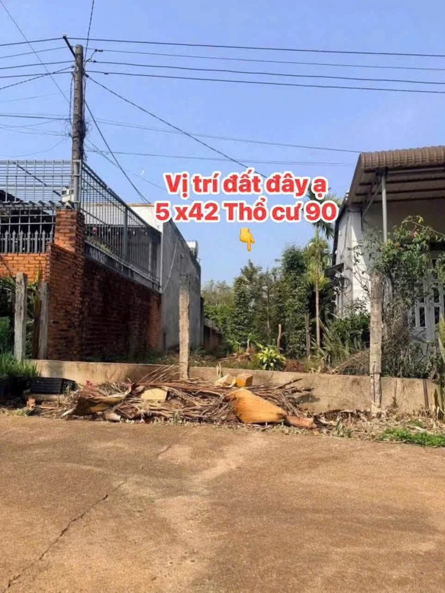 Bán đất nền Ea Kao 210m² giá 695 triệu - Ảnh thu nhỏ 2