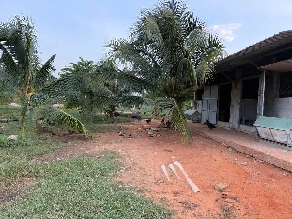 Bán 1500m² đất cây trồng Xã Hàm Liêm, Lâm Đồng - Ảnh thu nhỏ 5