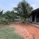 Bán 1500m² đất cây trồng Xã Hàm Liêm, Lâm Đồng - Ảnh thu nhỏ 5
