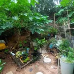 Bán nhà 125m² full thổ Tương Bình Hiệp Chánh Hiệp - Ảnh thu nhỏ 3